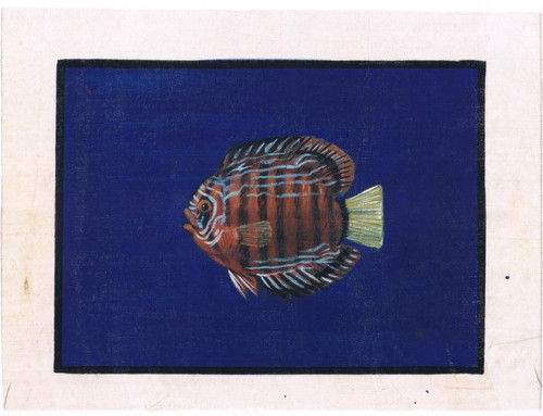 Peinture artisanale poisson - artisanale,