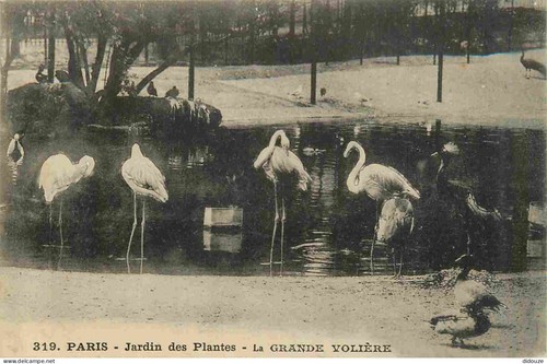 Carte postale ancienne - carte, 75