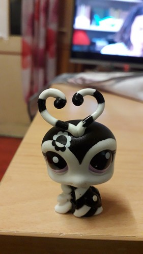 Petshop insecte noir blanc - insecte,