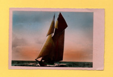 Voilier   ......   (Ref. L9897)