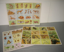 3 Ancienne Images Scolaire PLANCHE A. Arnaud 1951 ANATOMIE Animale