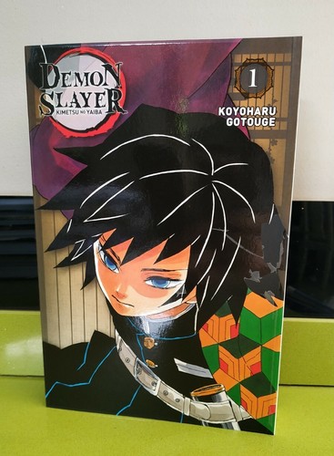 Demon slayer édition pilier - demon,