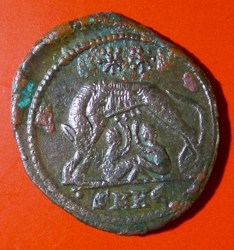 Centenionalis nummus pour - nummus,