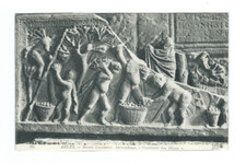 Carte postale ancienne  ARLES