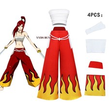 FAIRY TAIL Erza Scarlet Anime