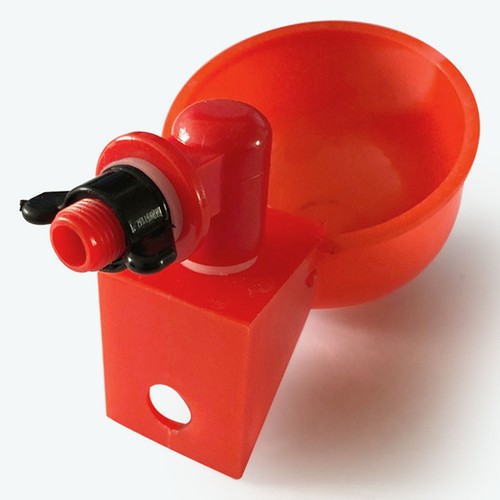 Pcs abreuvoir pigeons - 2,
