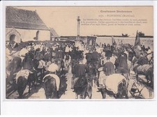 PLOUHINEC: la bénédiction des chevaux, les bêtes ornées de tapis - très b