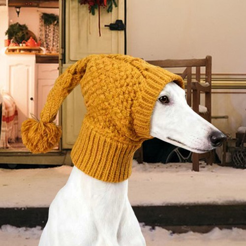 Bonnet pour chien accessoires - pour, chien,