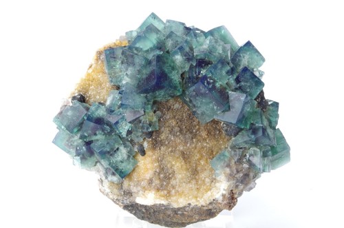Fluorite naughty gnome pocket - fluorite,