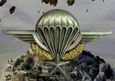 2REP-11°DP-RPIMa-TDM -