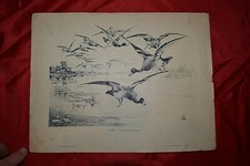 GIDE - Vol de Canards Sauvages