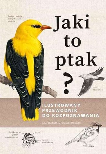 Jaki ptak ilustrowany - jaki, to