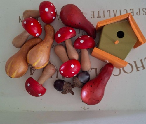 Lot champignons bois et - lot, en