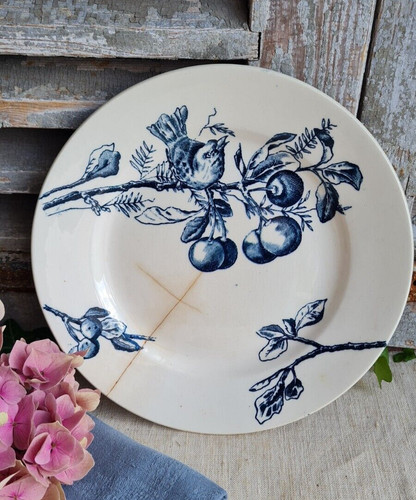 Ancienne assiette plate terre - ancienne,