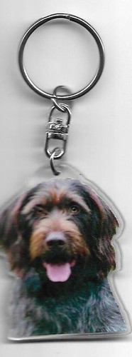 Drathaar porte clés chien - porte,