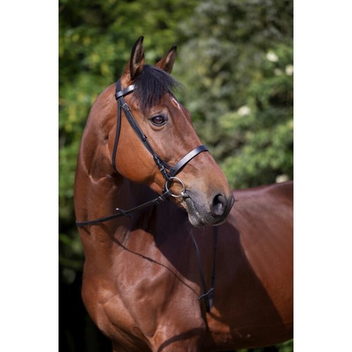 Bridon riding world muserolle - bridon, "muserolle