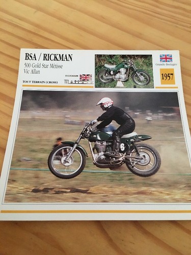 Bsa 500 gold - métisse, vic