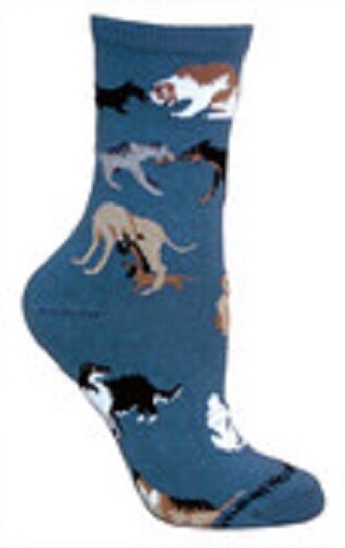 Dog socks wheel house - by,
