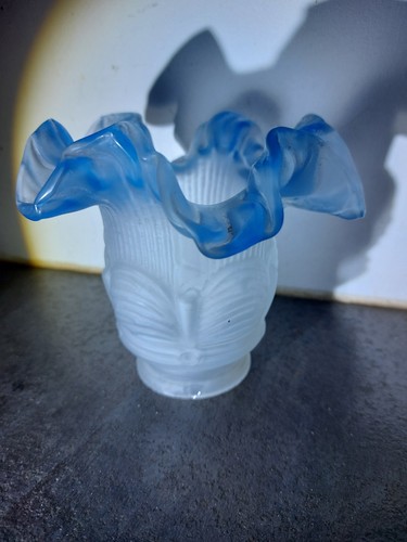 Belle tulipe bleu - belle,