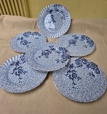 Lot 6 Assiettes Plates Johnson