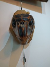 Tête De Tortue   Naturalisée Taxidermie 1950 Taxidermy Tortle Curiosité 