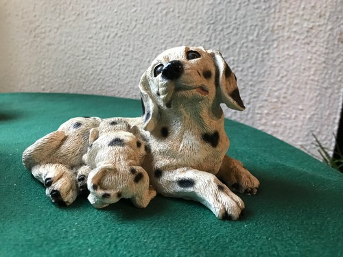 Chien dalmatien noir blanc - chien, et