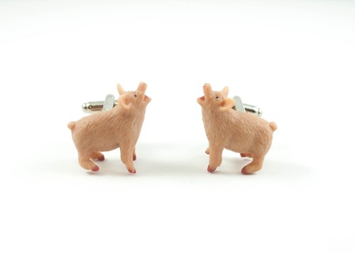Cochon boutons animal - cochon,