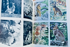 Chasse de Boilambert Le grand