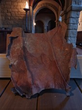 Ancienne peau cuir taxidermie