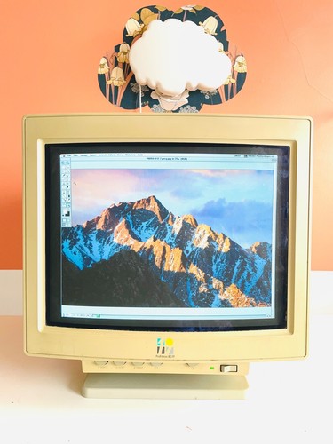 Formac pronitron display - pronitron, 80.19