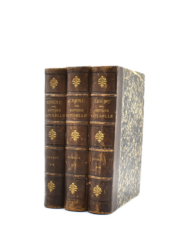Encyclopédie histoire - encyclopédie, d'histoire
