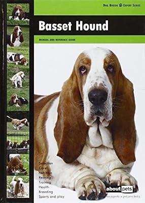Basset hound dog breed expert - (dog,