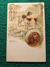 CPA - ILLUSTRATEUR BUNGARTZ - Braque allemand (Deutsch Kurzhaar) Vorstehhunde
