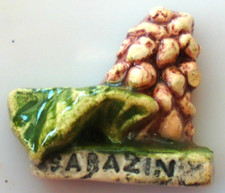 FEVE - PERSO - SARAZIN