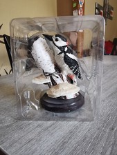 oiseaux de collection le pic