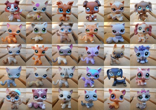 Lps littlest petshop pet - pet, shop