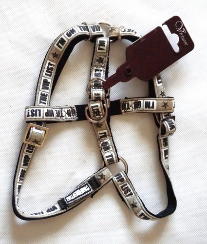 Harnais virtuose avec - harnais,