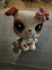 PETSHOP CHIEN BOULEDOGUE 2106