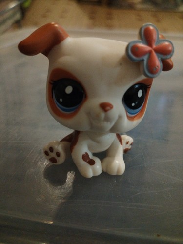 Petshop chien bouledogue 2106 - petshop,