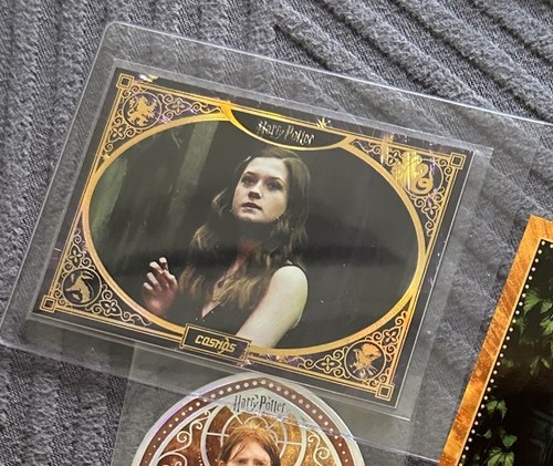 Ginny weasley chp - ginny,