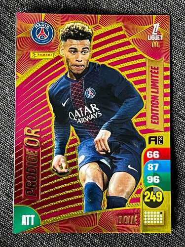 Card panini adrenalyn - card,