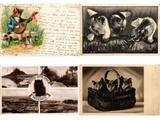 CATS CHATS KATZEN 17 Vintage Postcards (L4222)