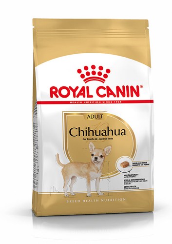 Chihuahua adulte sec chien - adulte,