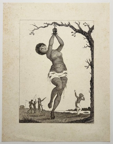 Dorgez flagellation d - -, d'une