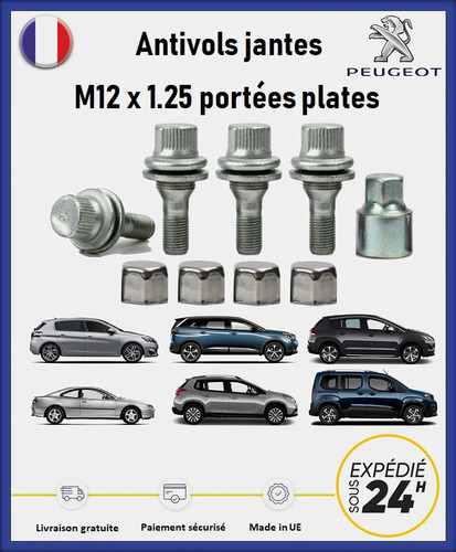 Ecrous antivol roues - ecrous,