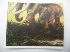 Stikers album PANINI 1992 immage Animaux Prehistorique Prehistoric Vignette #149