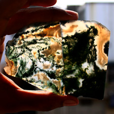 2 pièces d'agate mousse