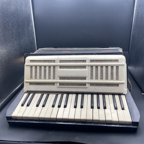 Vintage accordion black - vintage,