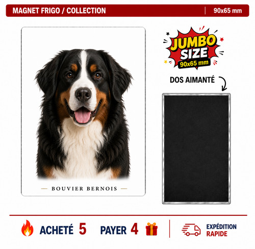 Magnet bouvier bernois - ,