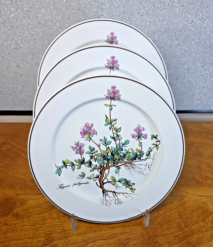 Villeroy boch botanica - villeroy,